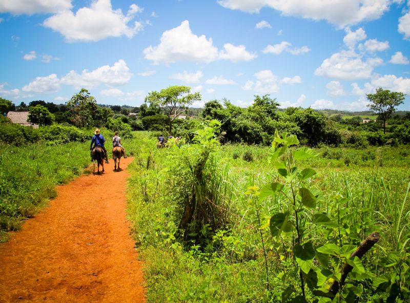 Paardrijden in Viñales
